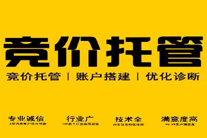 行业领先SEM服务公司案例研究